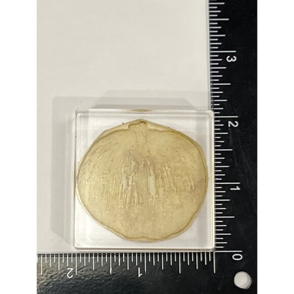 Pumpkin Photopolymer Stamp On Clear Acrylic Block - Picture 1 of 4